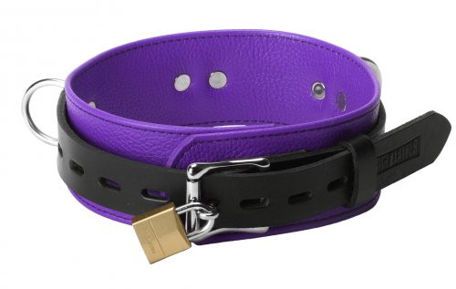 Verschließbares Lederhalsband - schwarz und violett
