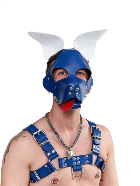 Leder Hundemaske mit geknickten Ohren blau/weiß