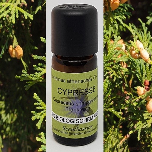Ätherisches Öl 'Cypresse (Cupressus sempervirens)' Bio