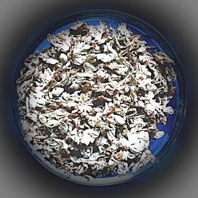 Jasminblüten (Jasminum sambac)
