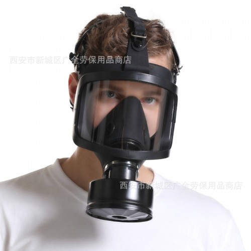 Gas mask with large visor