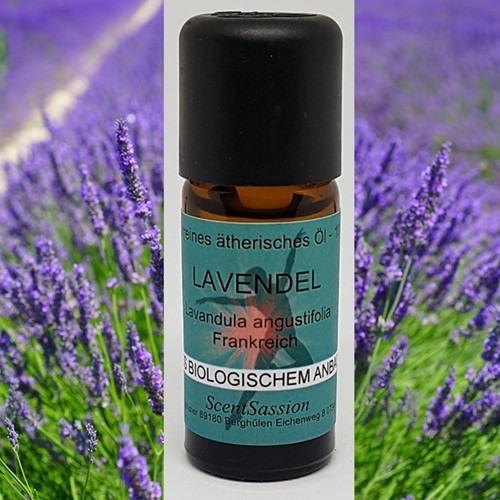 Ätherisches Öl 'Lavendel (Lavendula angustifolia)' Bio