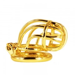 Golden Chastity Cage