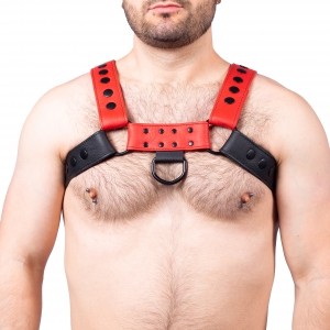 Snap Leather Harness Black-Red
