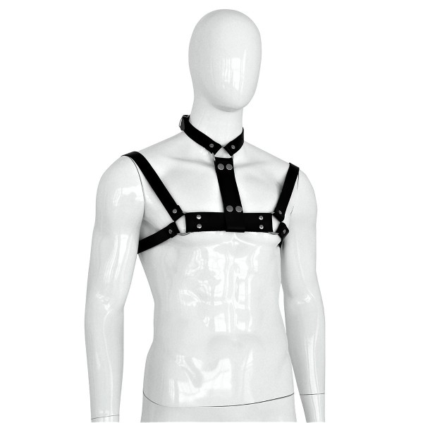 Leather collar with chest harness for men