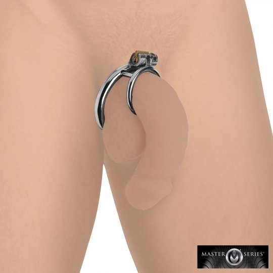 Lockable Penis and Testicle Ring