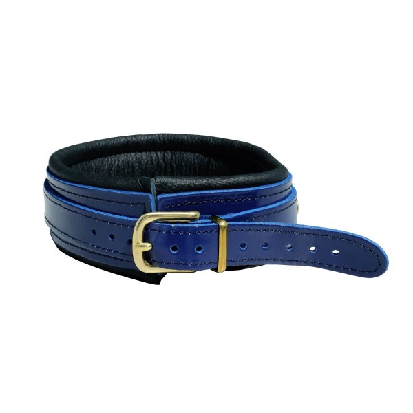 Blue Leather Collar