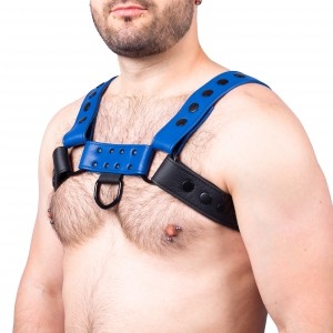 Snap Leather Harness Black-Blue