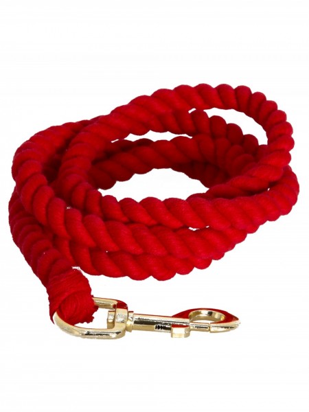 Rotes Bondage Seil mit Karabinerhaken