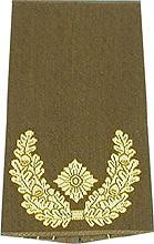 Rangschlaufen (Heer) Bw oliv 'Brigade-General'