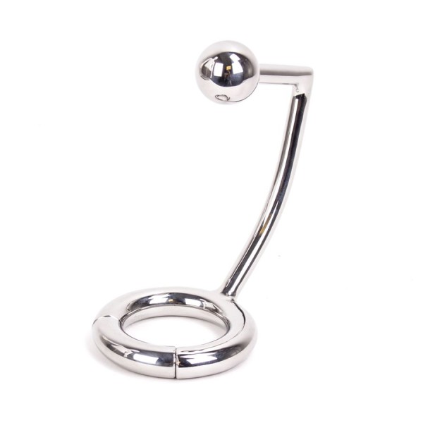 Magnetic penis ring with anal plug