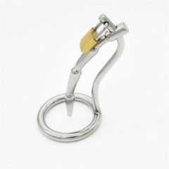 Dilator with chastity cage