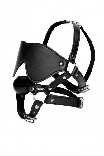 Blindfold harness with ball gag