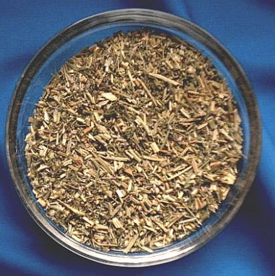 Erdrauchkraut (Fumaria officinalis)