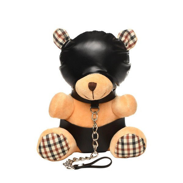 Teddy bear with hood