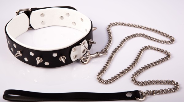Studded collar with leash