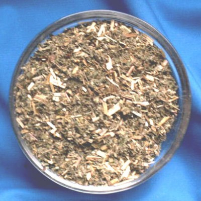 Mädesüßkraut (Filipendula ulmaria)