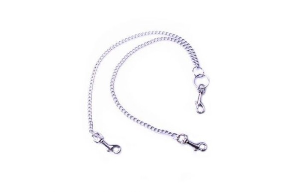 Chain with connecting carabiners