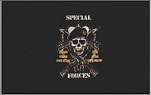 Flagge 'U.S. Special Forces'