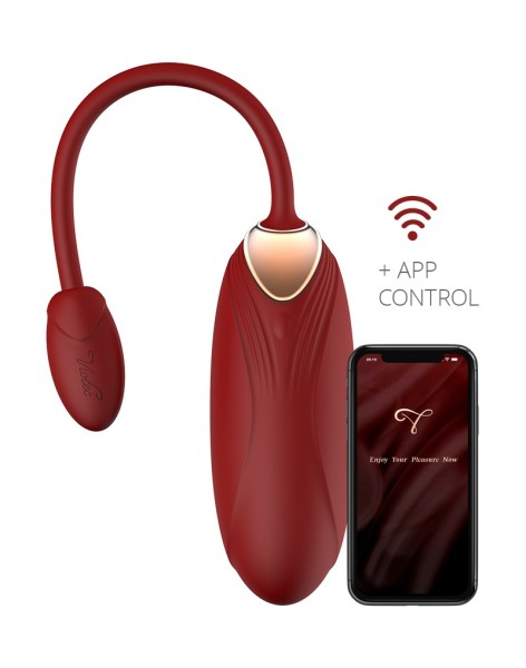 Portable vibrator with app control