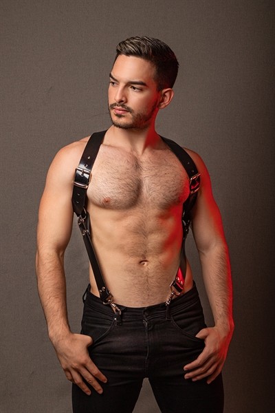 Synthetic Harness