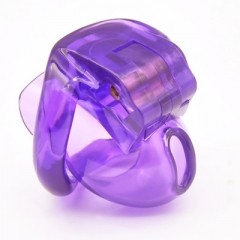 Micro chastity cage