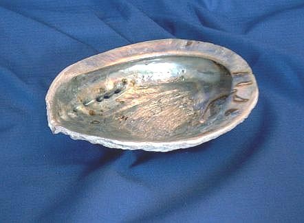 Räuchermuschel Abalone