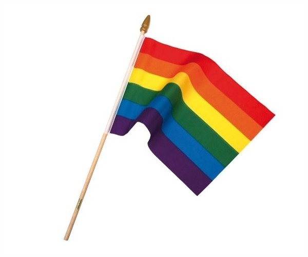 Rainbow Pride Flag on Stick