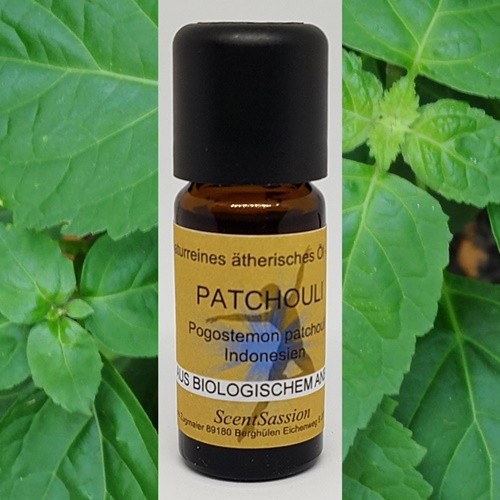 Ätherisches Öl 'Patchouli (Pogostemon patchouli)' Bio