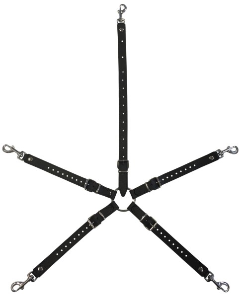 Universal and adjustable Hogtie with neck connection