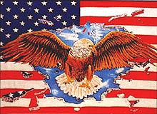 Flagge 'U.S.A. mit Adler'