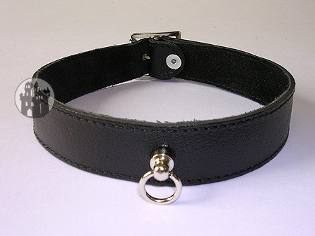 Leather collar with O-ring